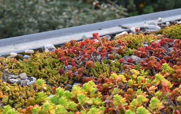 the cost of Ash Thomas green roof installation