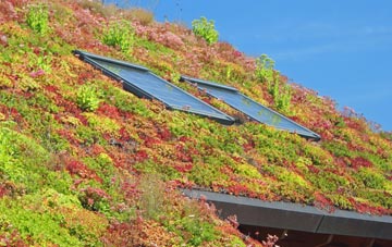 Ash Thomas living roof systems
